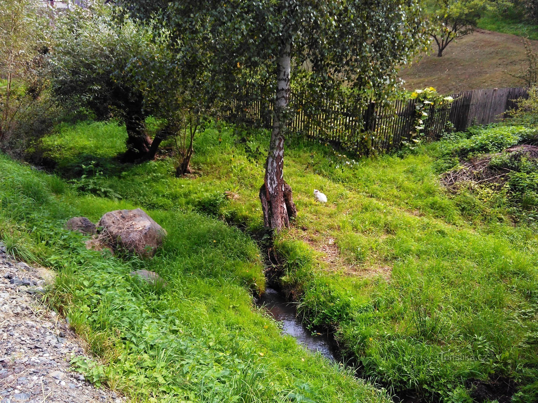 en el camino alrededor del arroyo Zubrnické