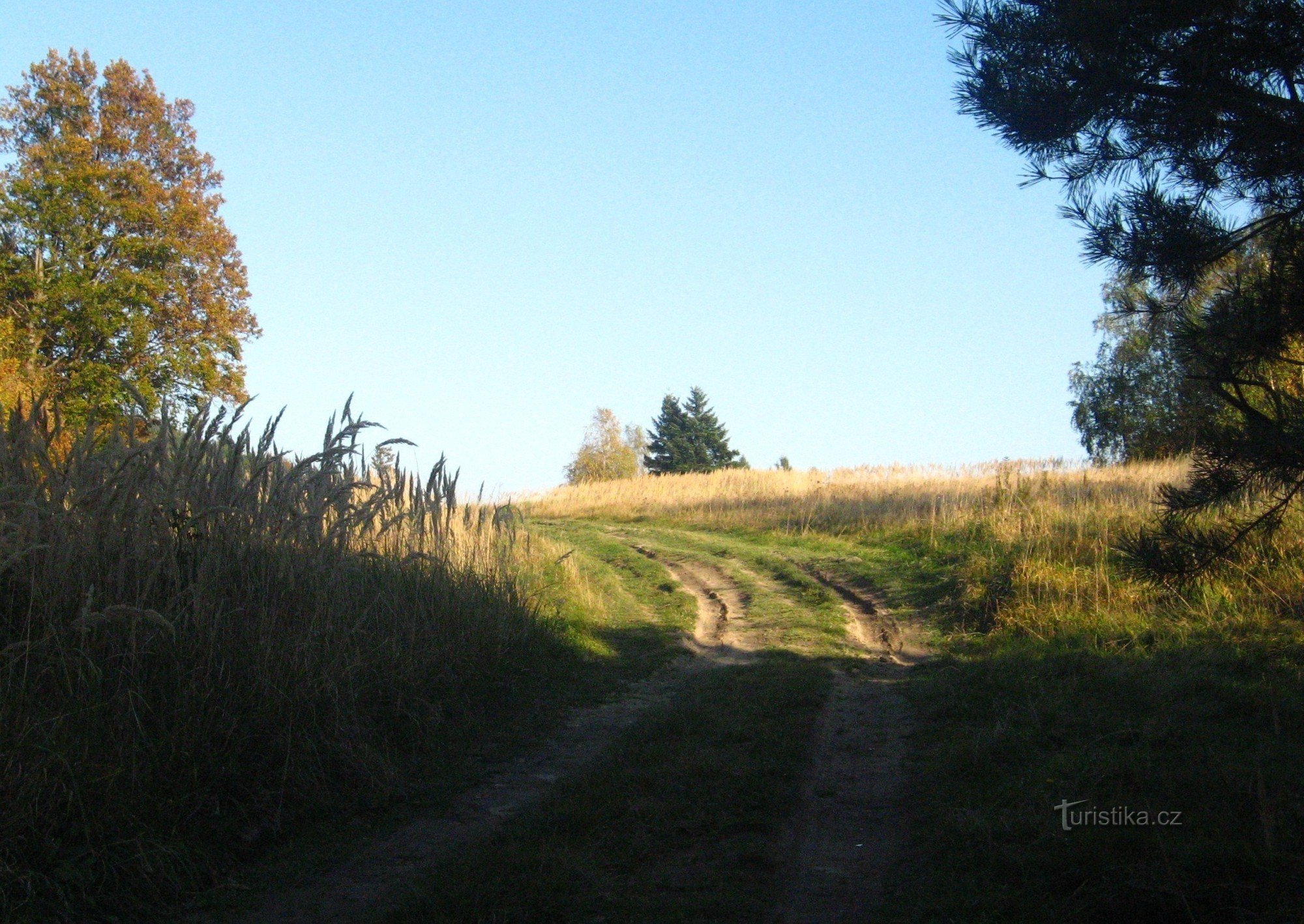 along the grass ridge