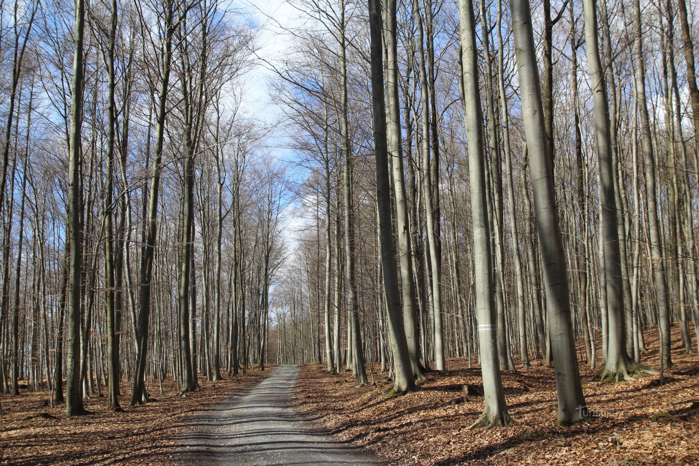 Auf dem Weg von Babice nach Alexandrova zlědná