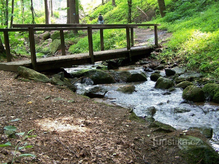 Sur le chemin de Blansko à Obůrka - été 2011