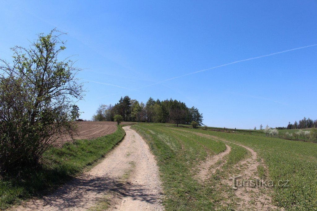 On the way from the parking lot to the observation tower