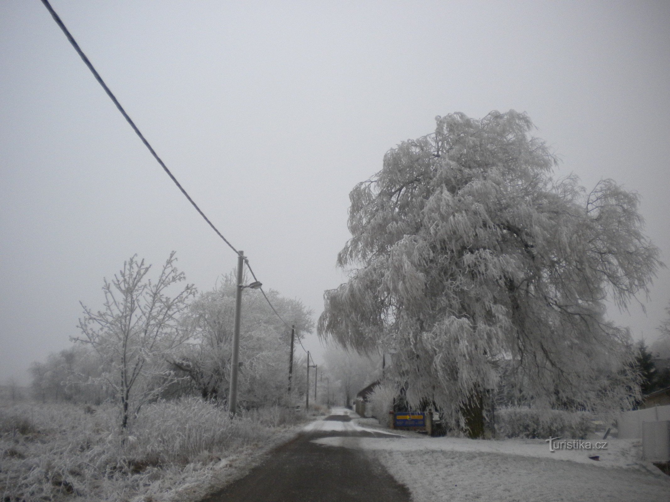 по дороге к оленям