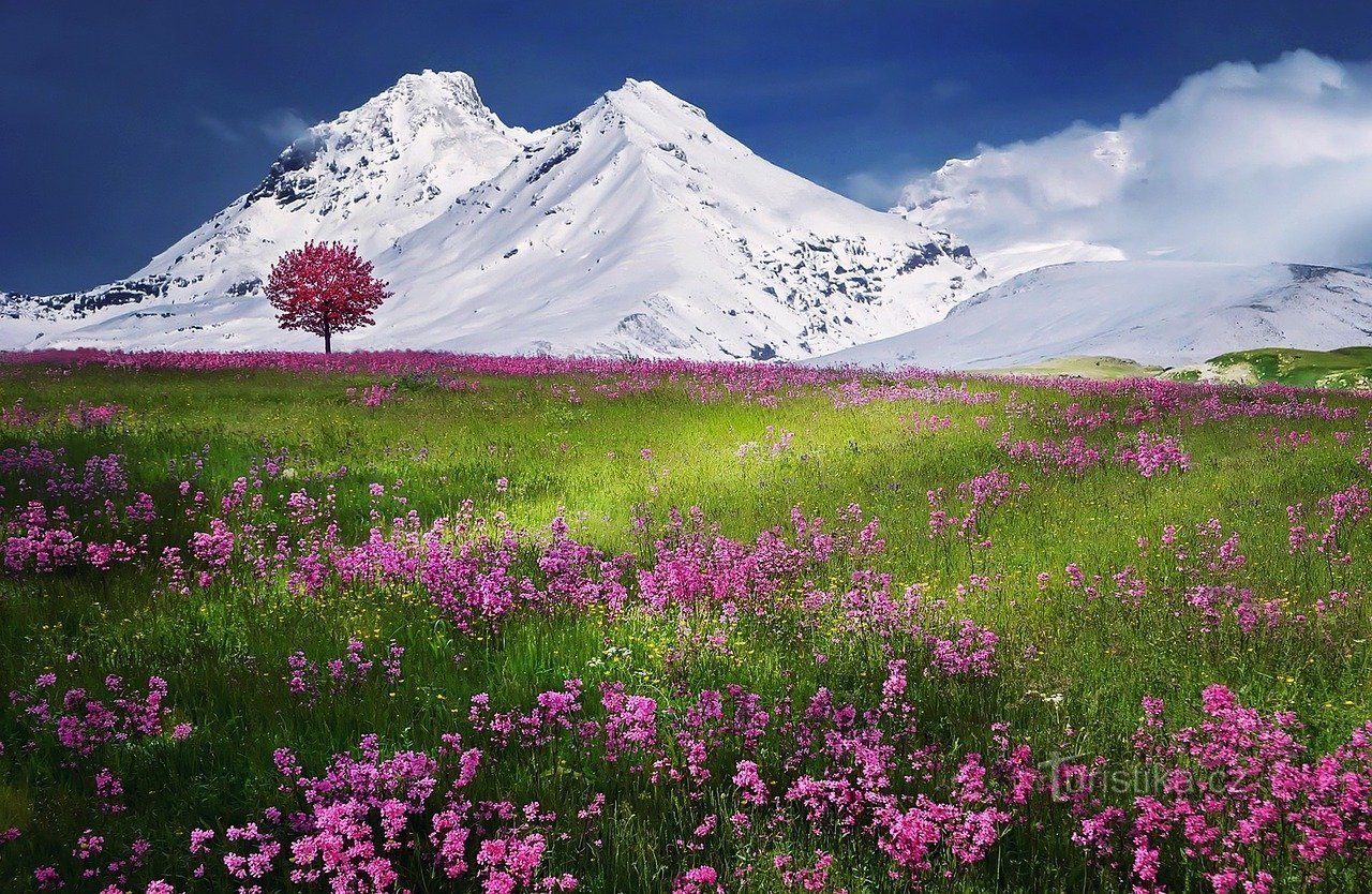 Sklenite turistično zavarovanje za potovanje v Alpe
