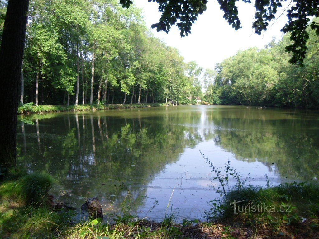 Chacholicky pond