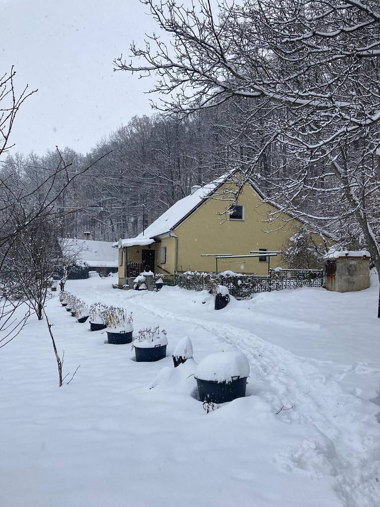 chalupa Jája a Pája - zima