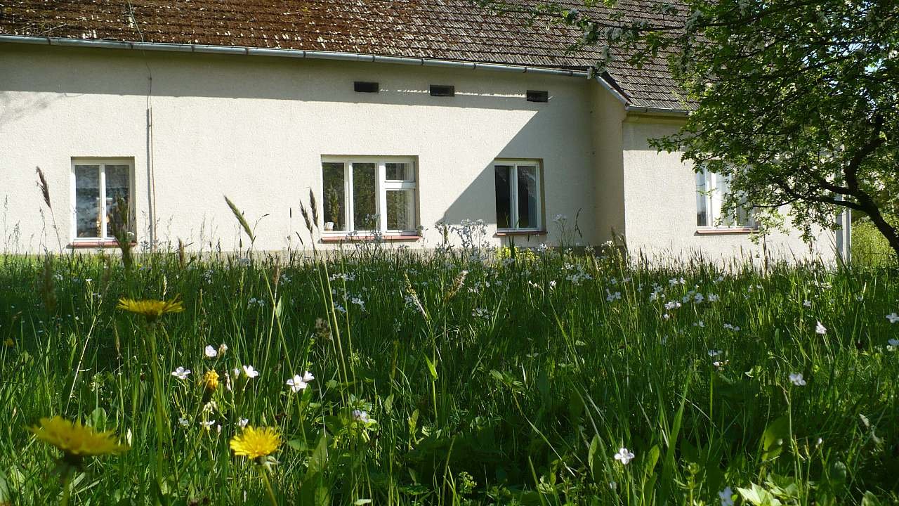 Cottage On Perch