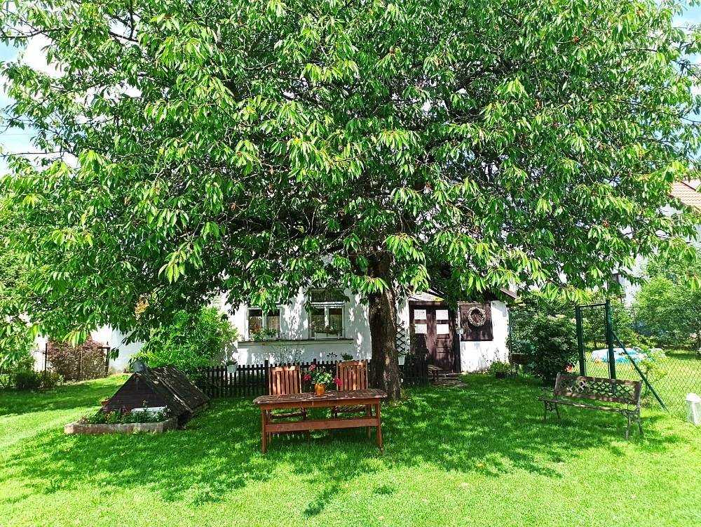 Cottage Petříkov