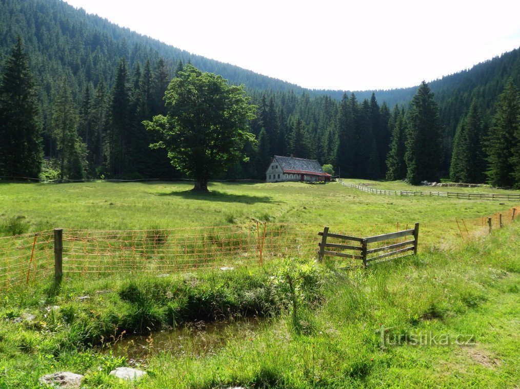 Un chalet sous la forêt, au point culminant du Jelení luky