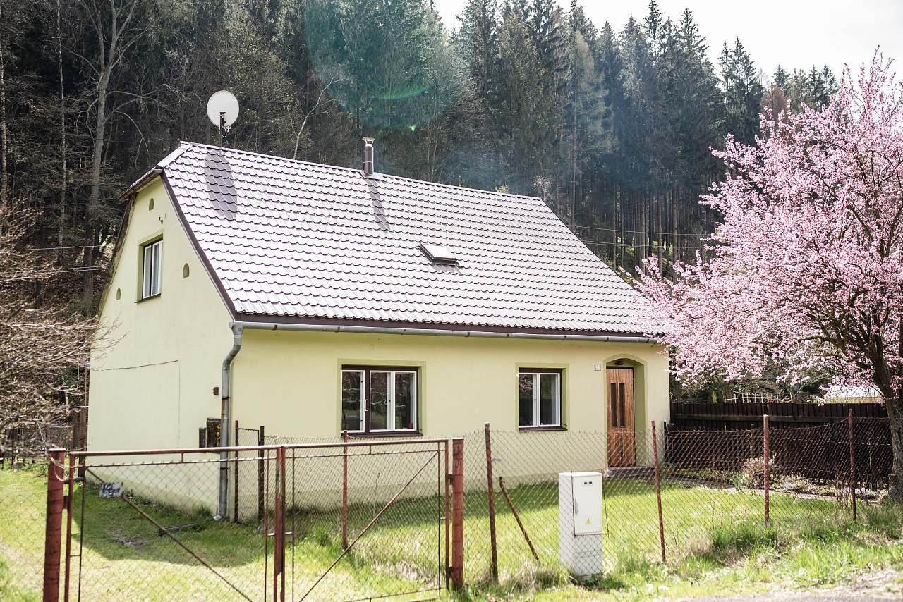 Chalet sous le collège