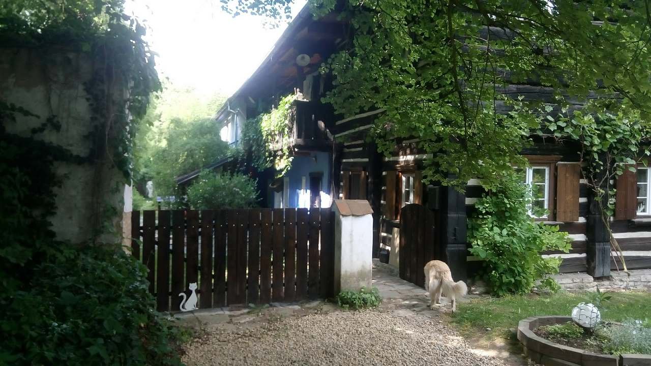 Sommerhus U duch