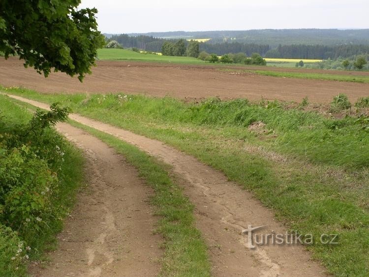 Carácter das estradas entre Řehořov e Kamenička