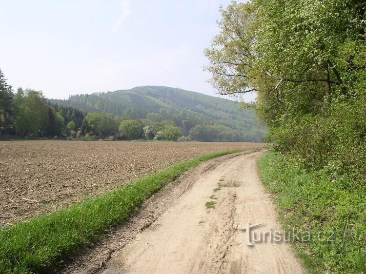 Caráter da estrada da margem esquerda entre o Týn e a passarela perto do assentamento Rybáře