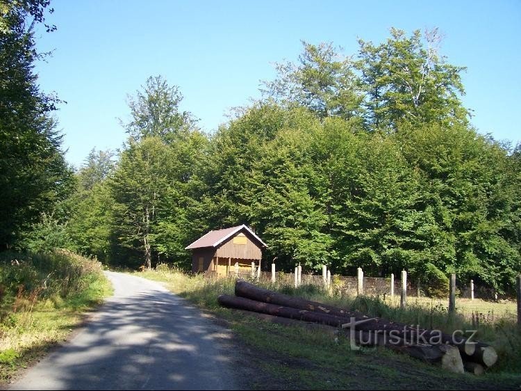 Hütte: Ascalona-Hütte in der Nähe des Reservats