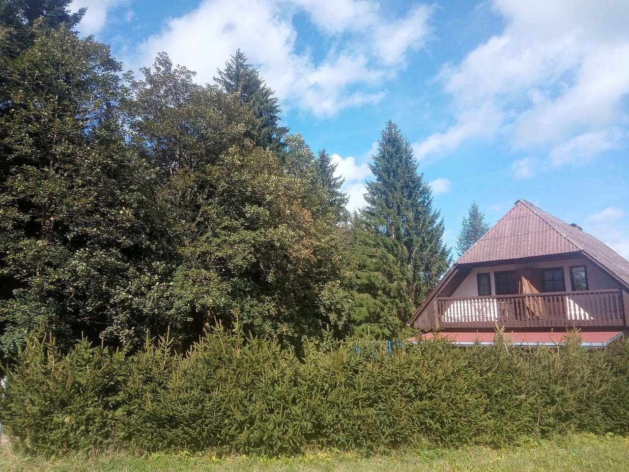 Chata Javory je obklopena zelení