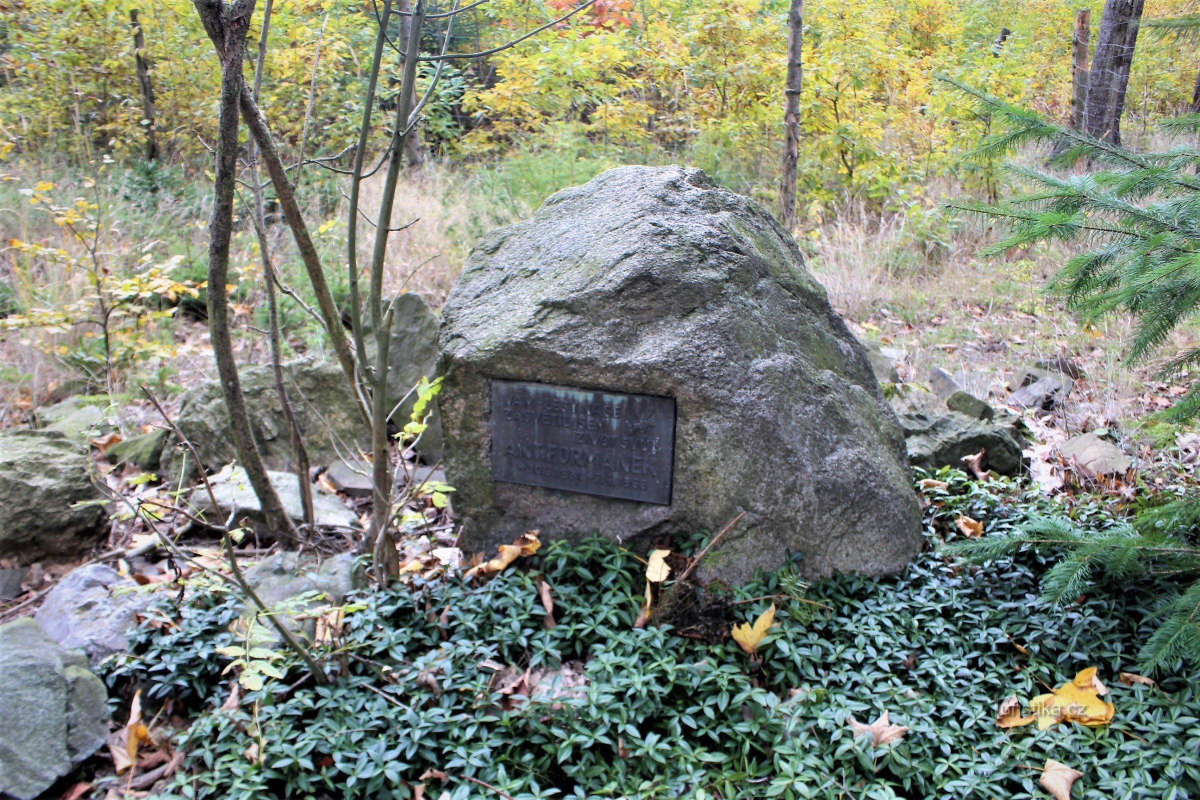 Hütte Nepustelka in den Wäldern von Hořice