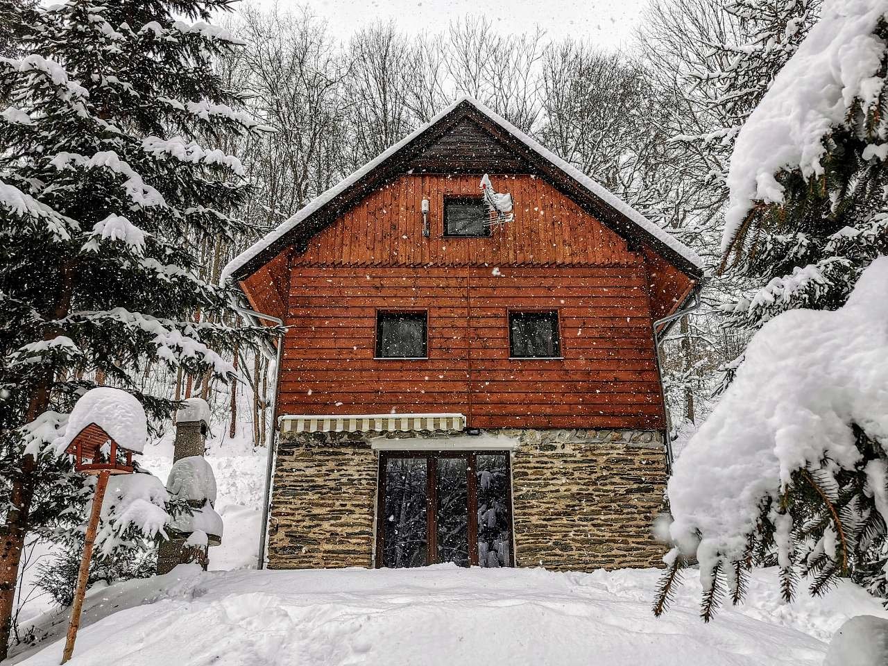 Hütte im Winter