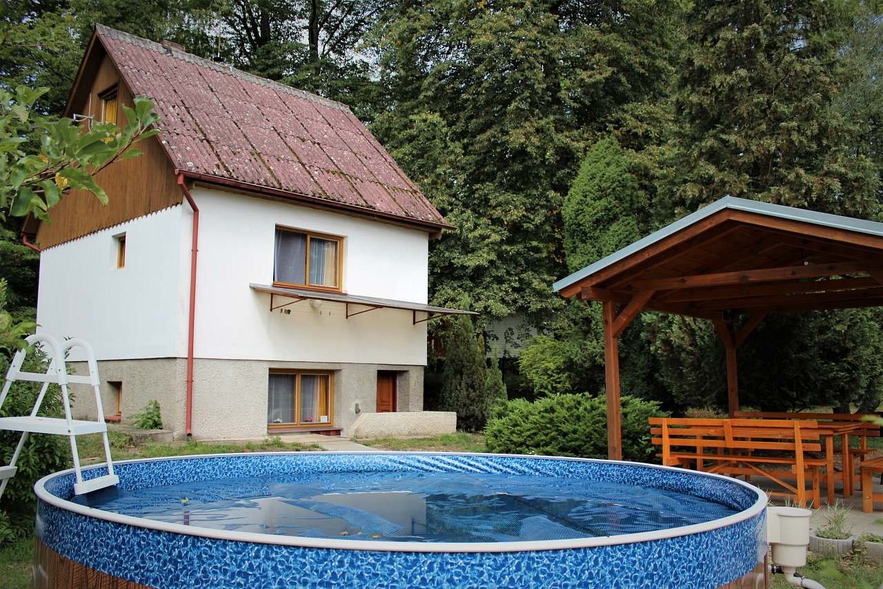 Nhà kiểu nông thôn Včelín - hồ bơi