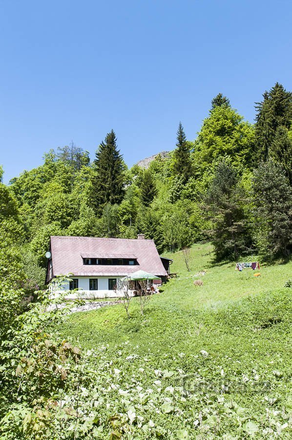 Schloss Goldenstein