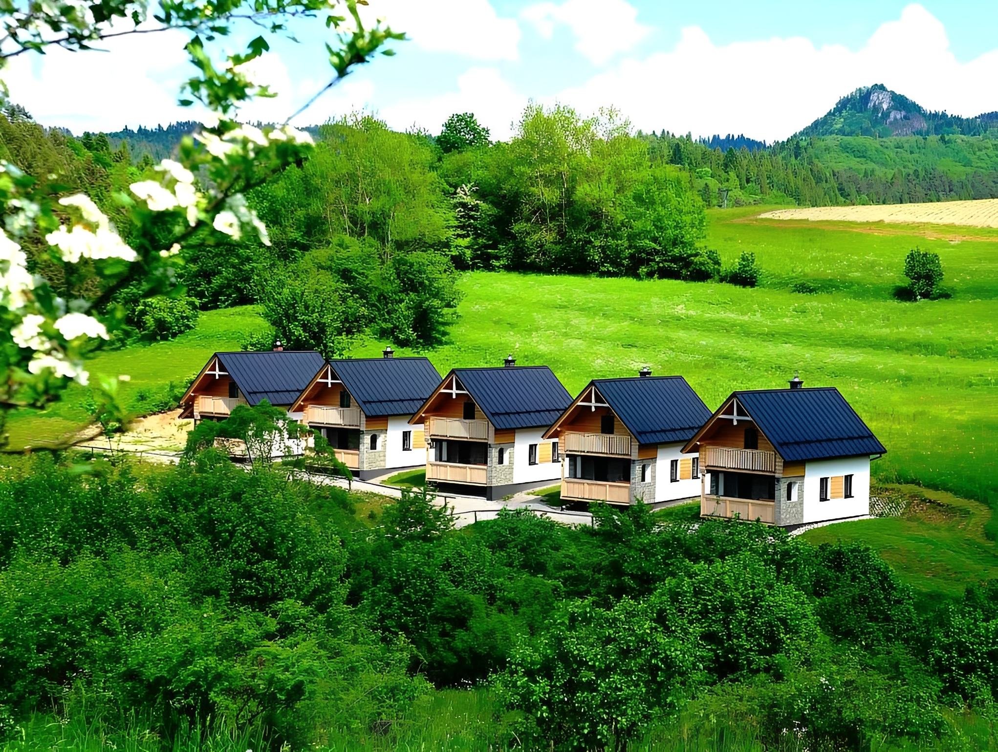 Chatová usadlosť Pieninka