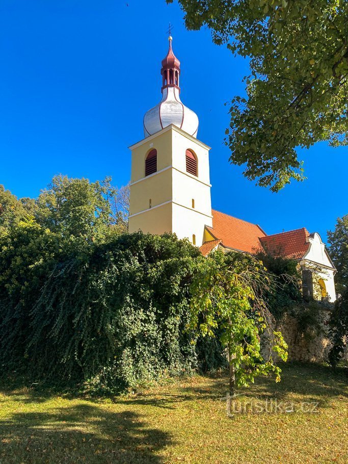 Chelczycki Kościół św. Jaskółka oknówka