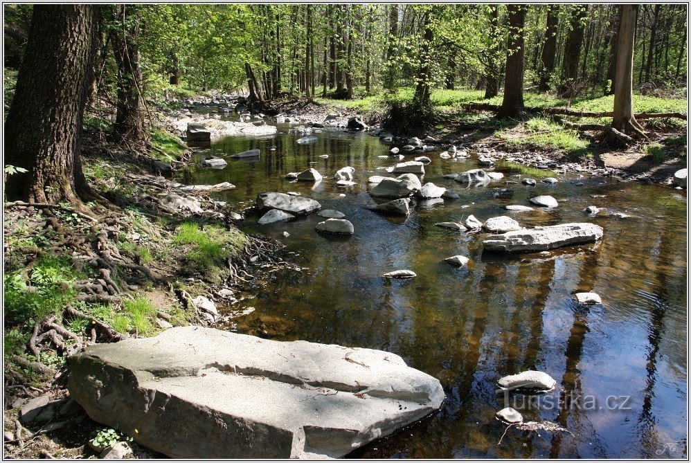 Chittusi Valley