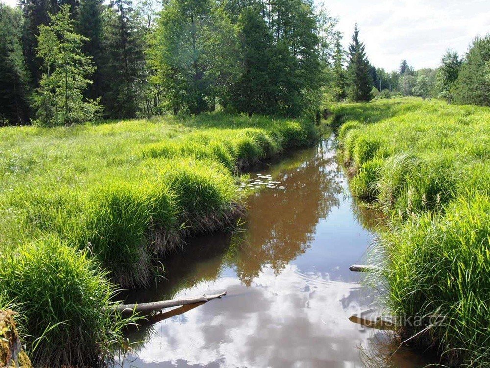 PLA Tjekkisk Skov