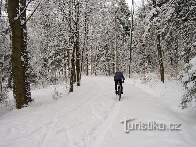 PLA Slavkov 14: PLA Slavkov forest? spa forests of Karlovy Vary.