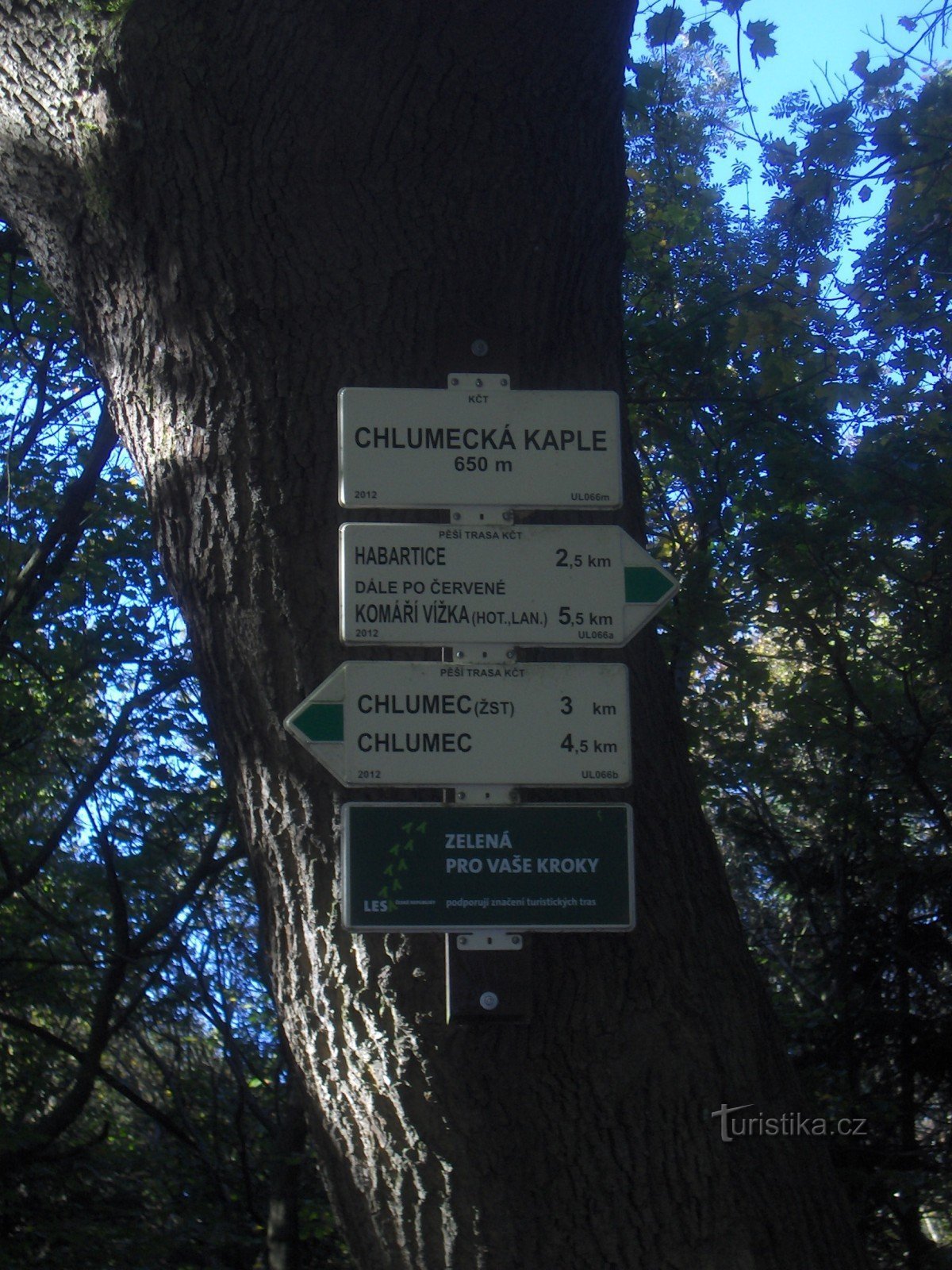 Capilla del bosque de Chlumecka.