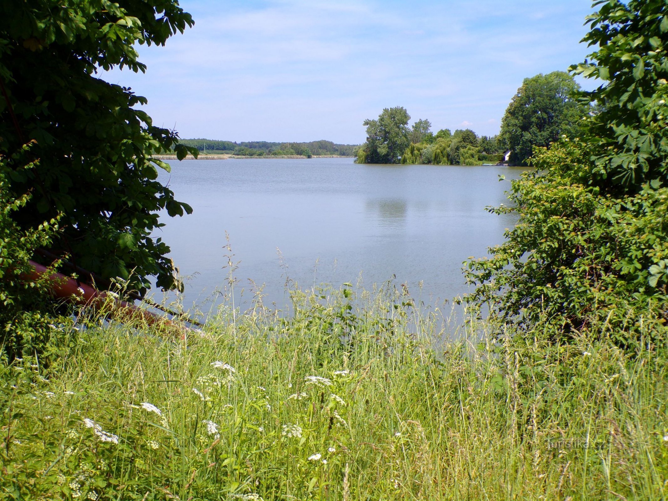 Chlumecký rybník (Chlumec nad Cidlinou, 5.6.2022)