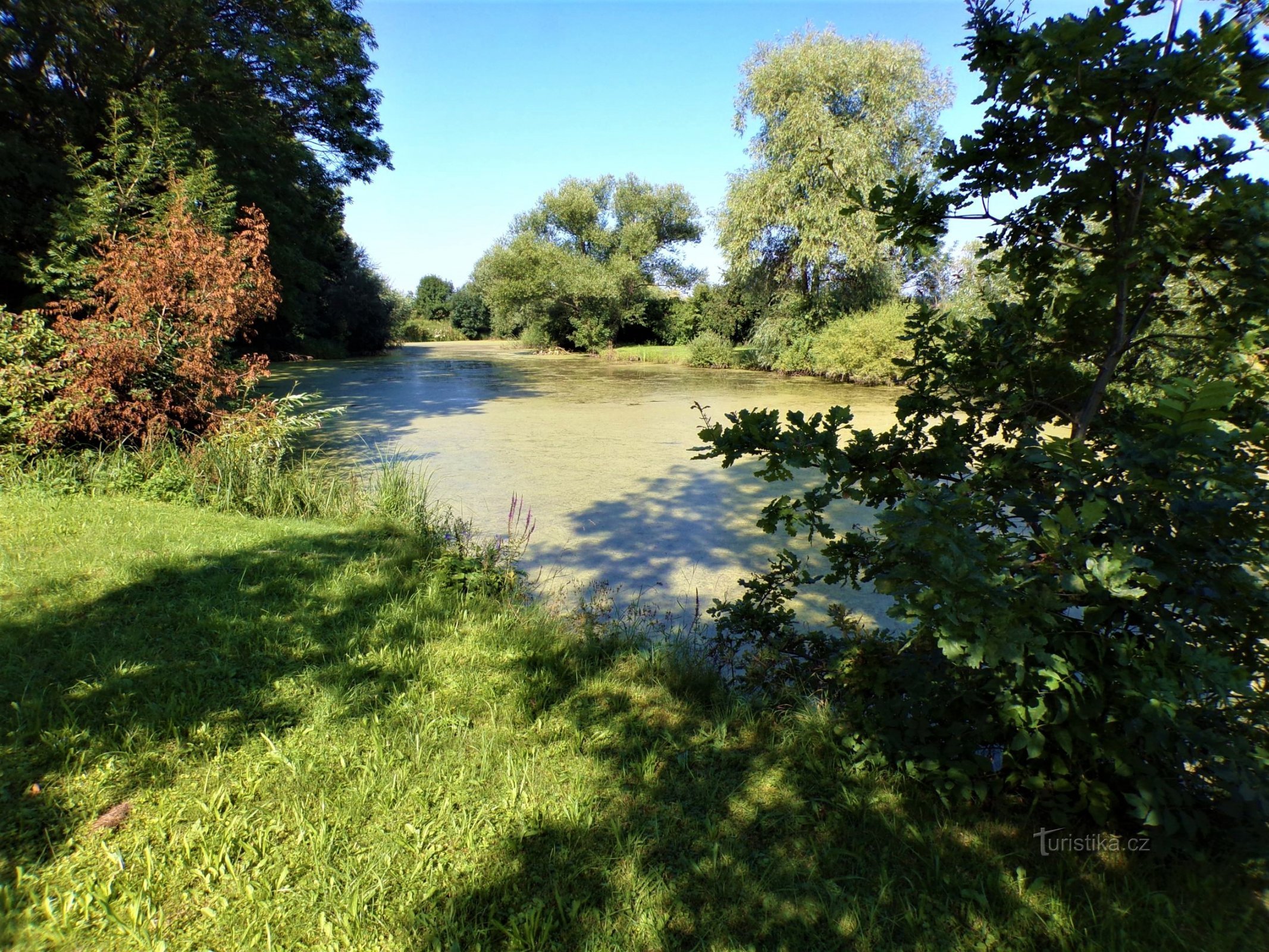 Chmelovice-vijver (Chmelovice, 15.8.2021/XNUMX/XNUMX)