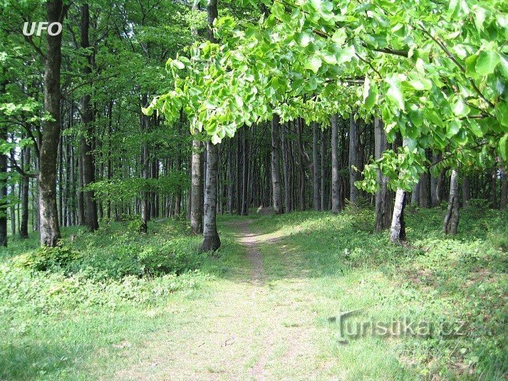 wandelpaden van bergkammen van de Vř.vrchrů