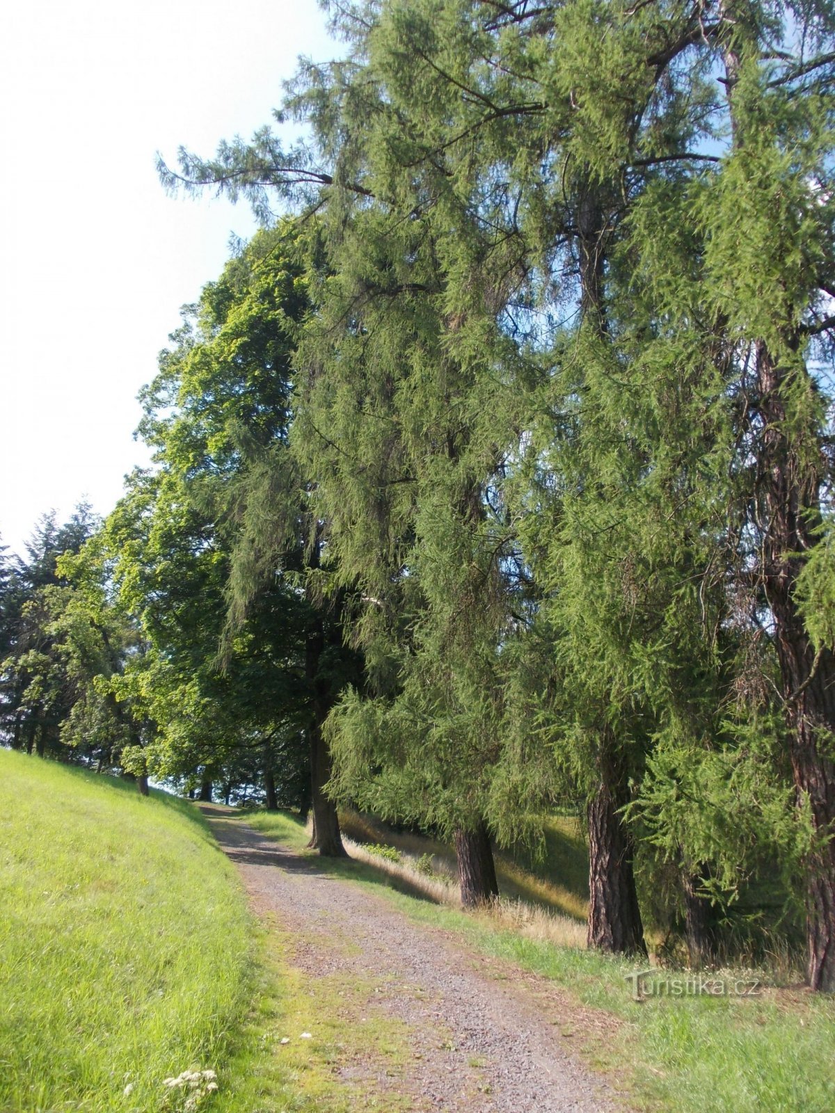 stoep en bomen