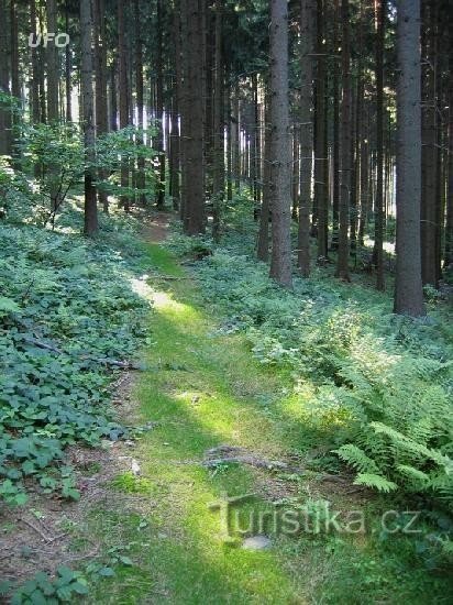 chodnik na Vildštejn