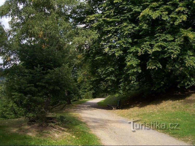 Wandelpad: Educatief pad Beukenpad, pad naar het kasteel