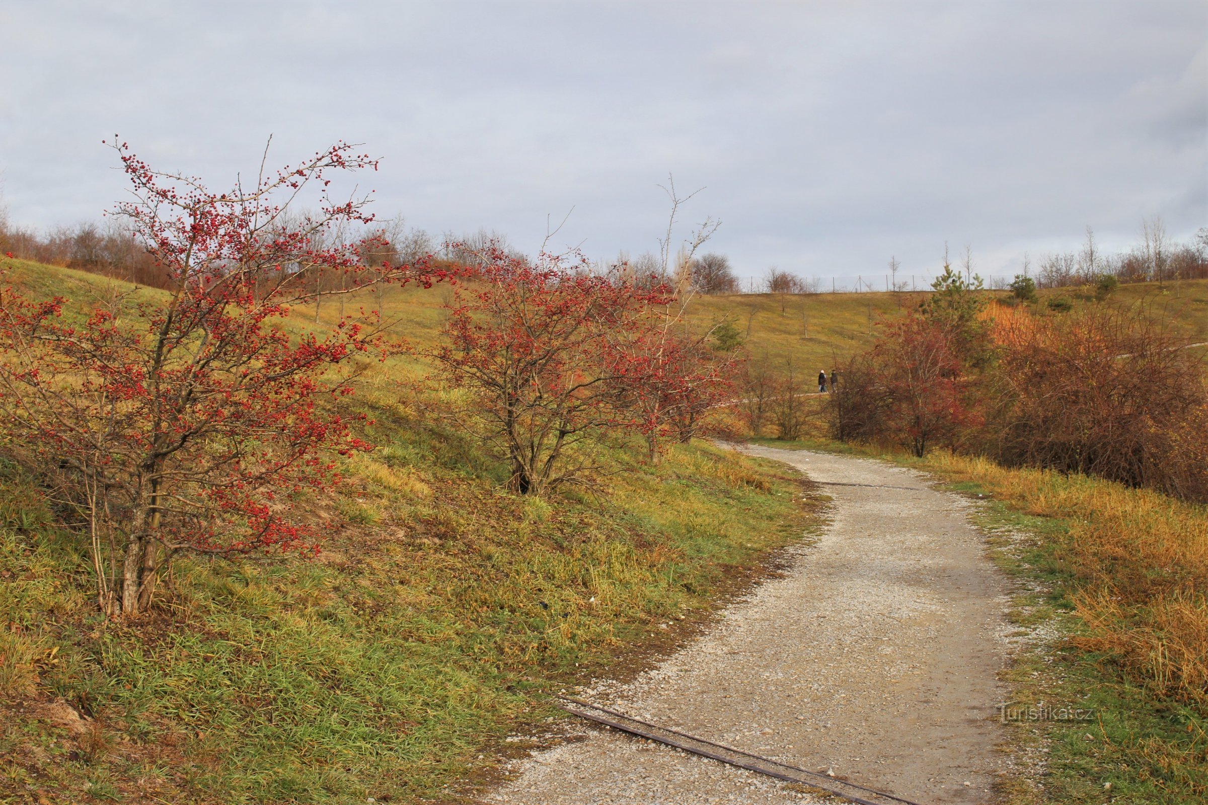 Der Fußweg führt vom Einkaufszentrum zum Kamm von Planýrky