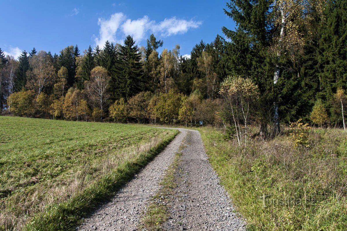 Klassinen käärme