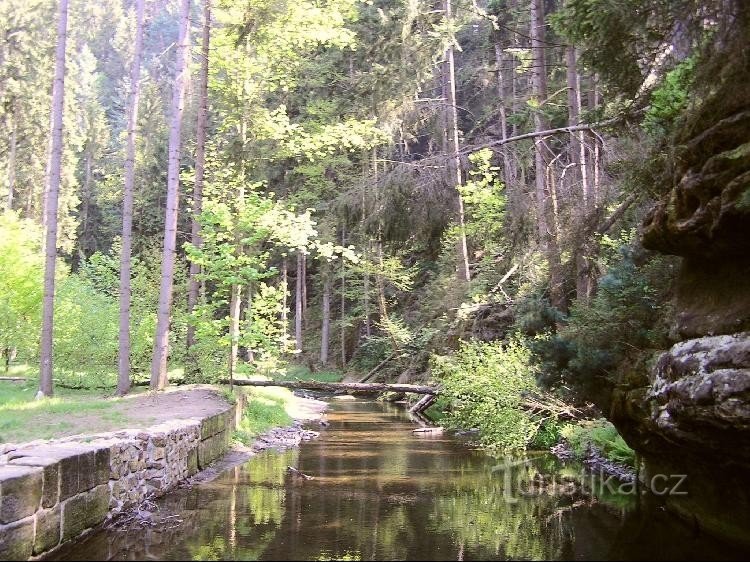 Chřibská Kamenice: La începutul rezervației.