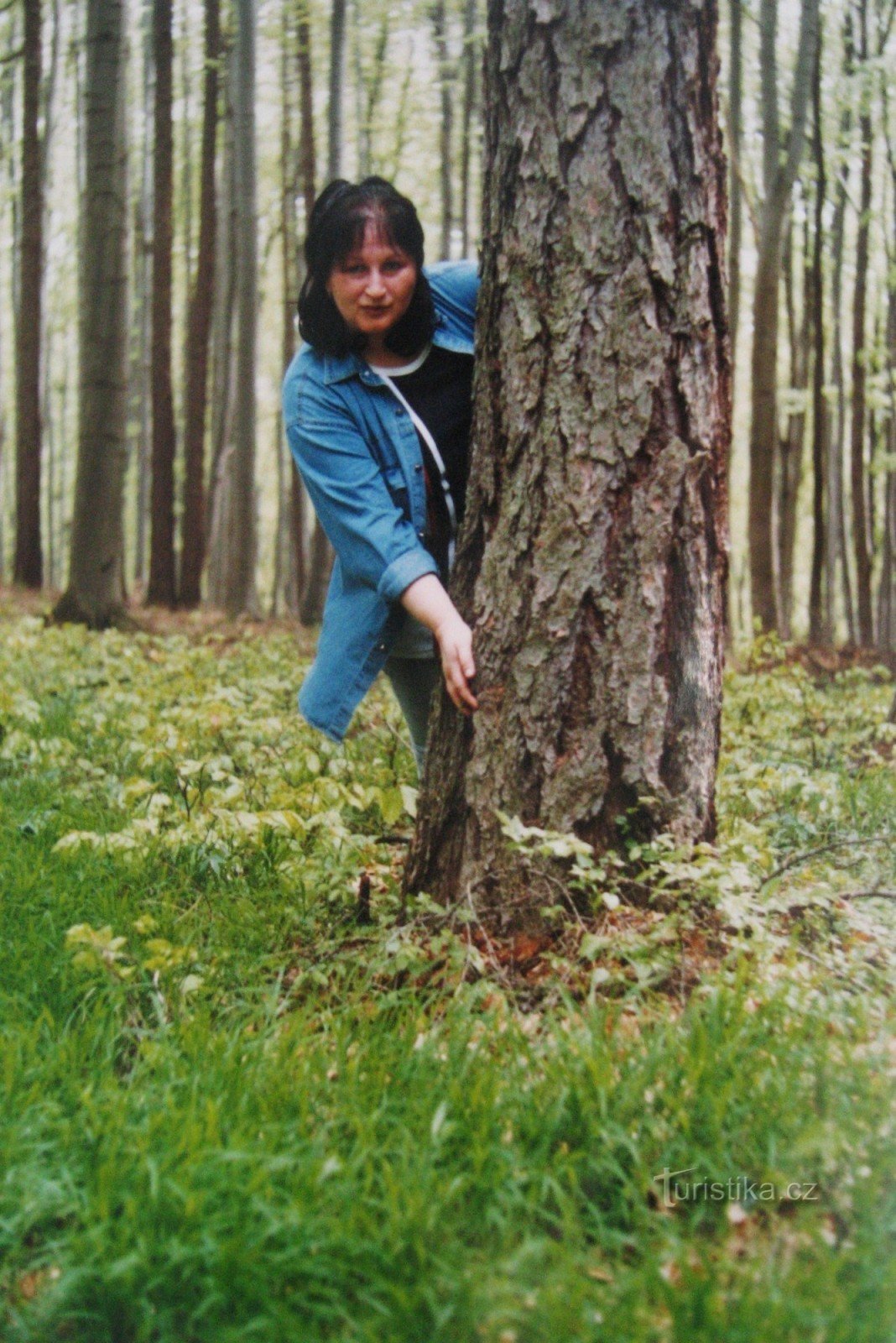 Chřiby 2004: Chimeneas, Záskalí y Budačina