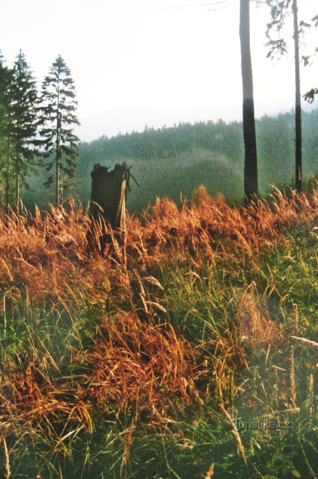 Chřiby 2004: Skorstene, Záskalí og Budačina