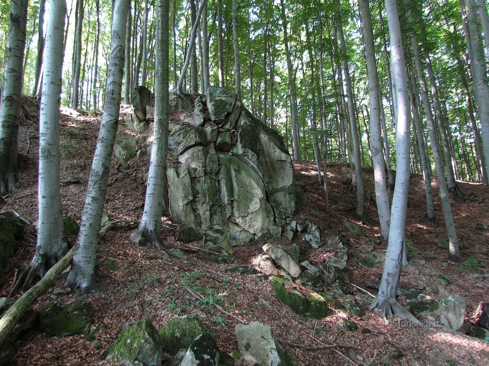 Chřiby - Nameless rock