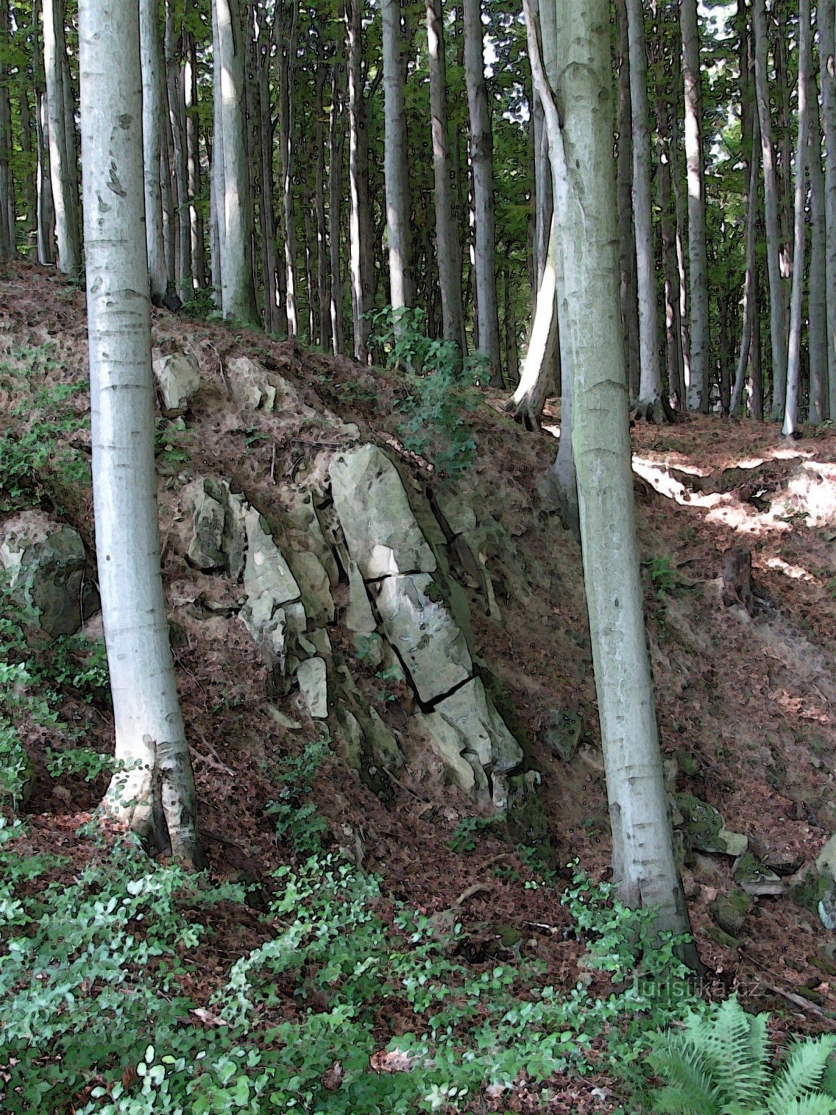 Chřiby - Namnlös rock