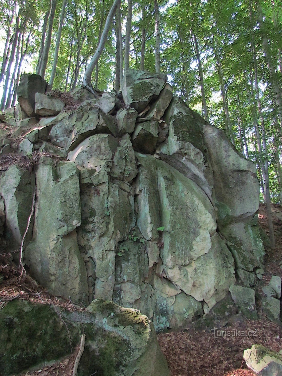 Chřiby - Namnlös rock