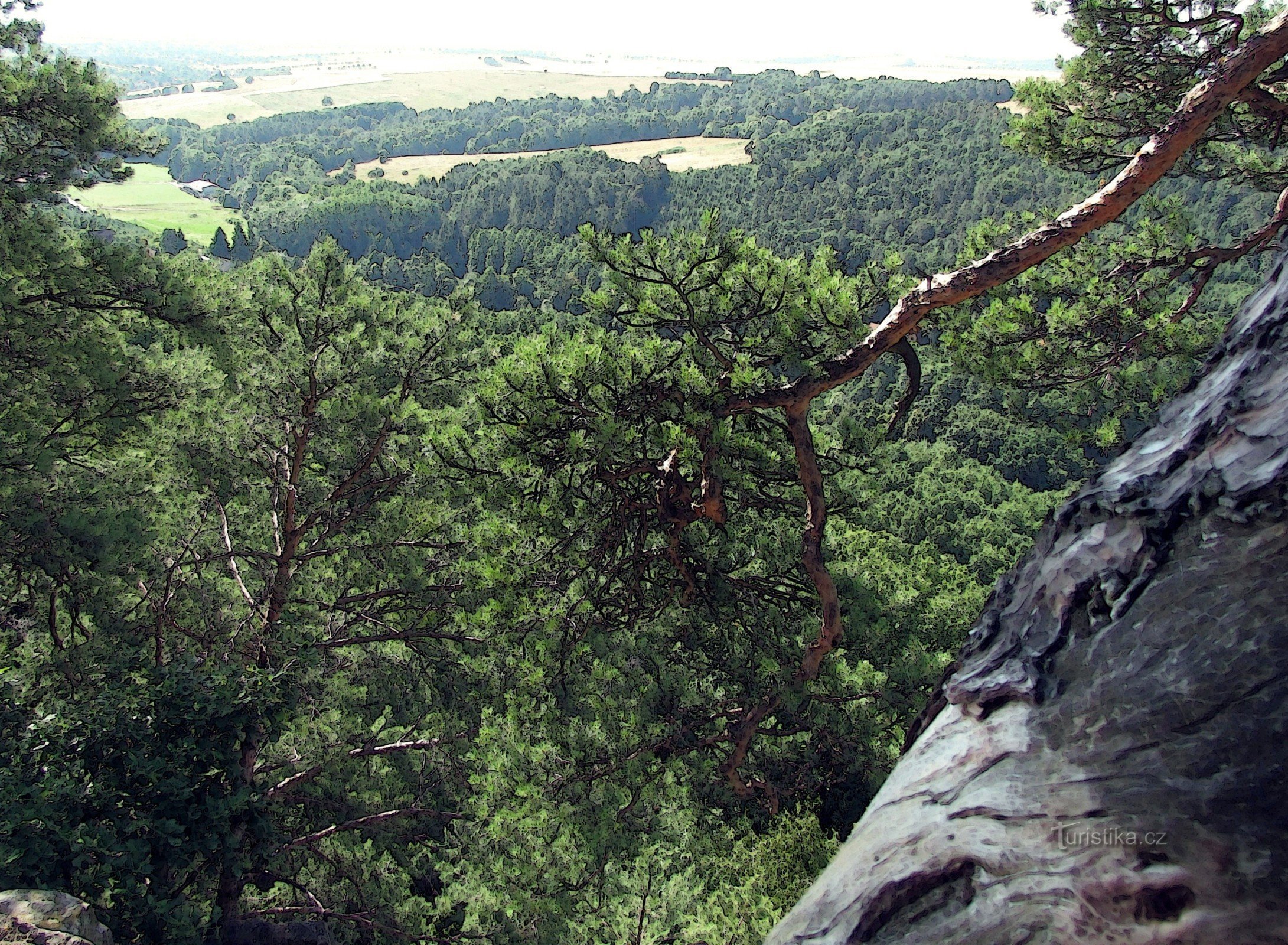 Chřiby - Břestecká skála