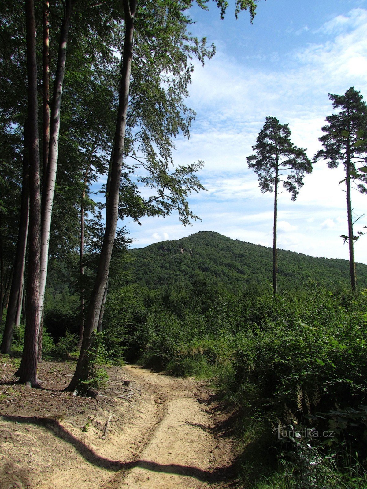 Chřiby - Břestecká skála