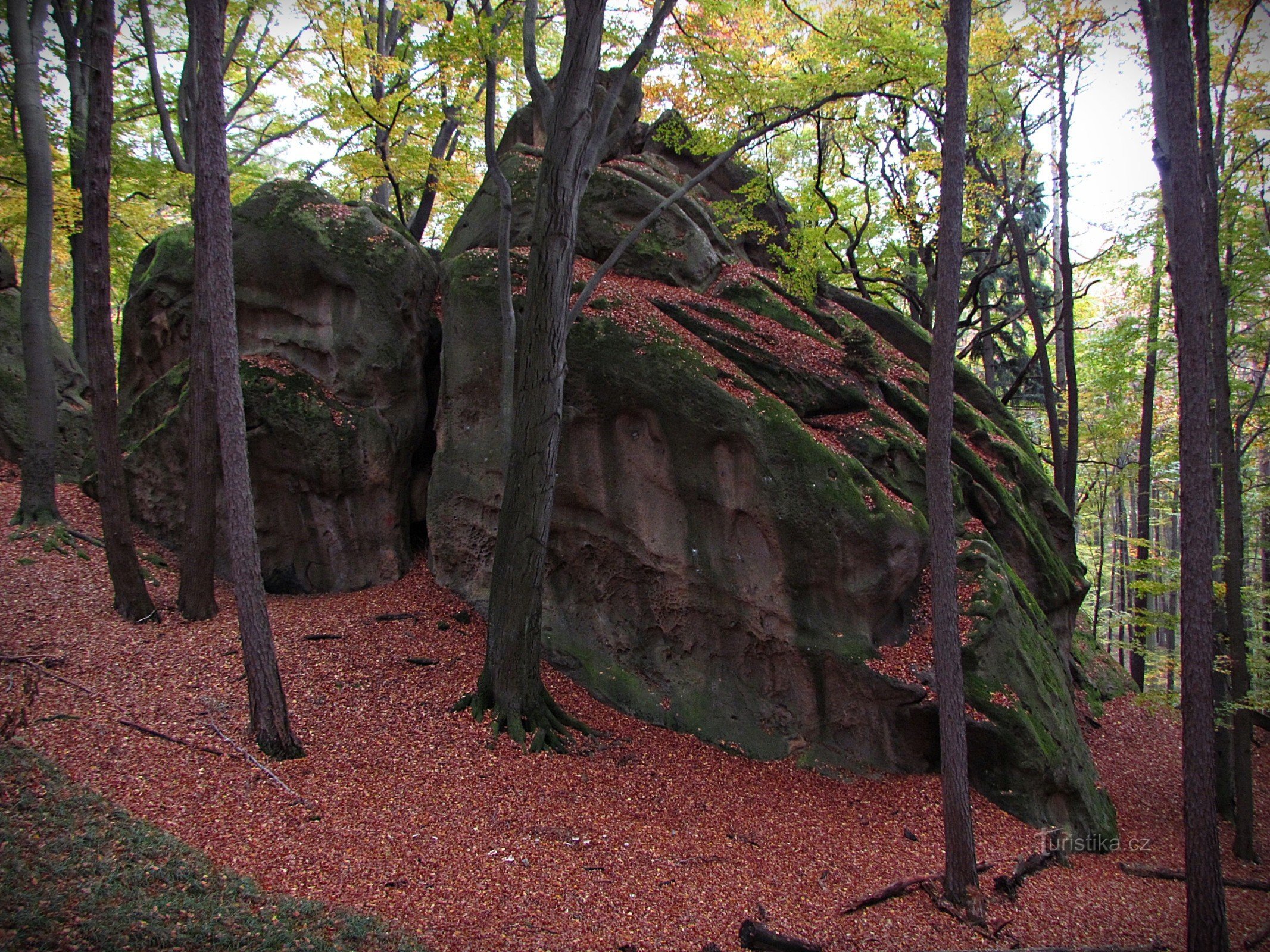 Chřiby - Budacina