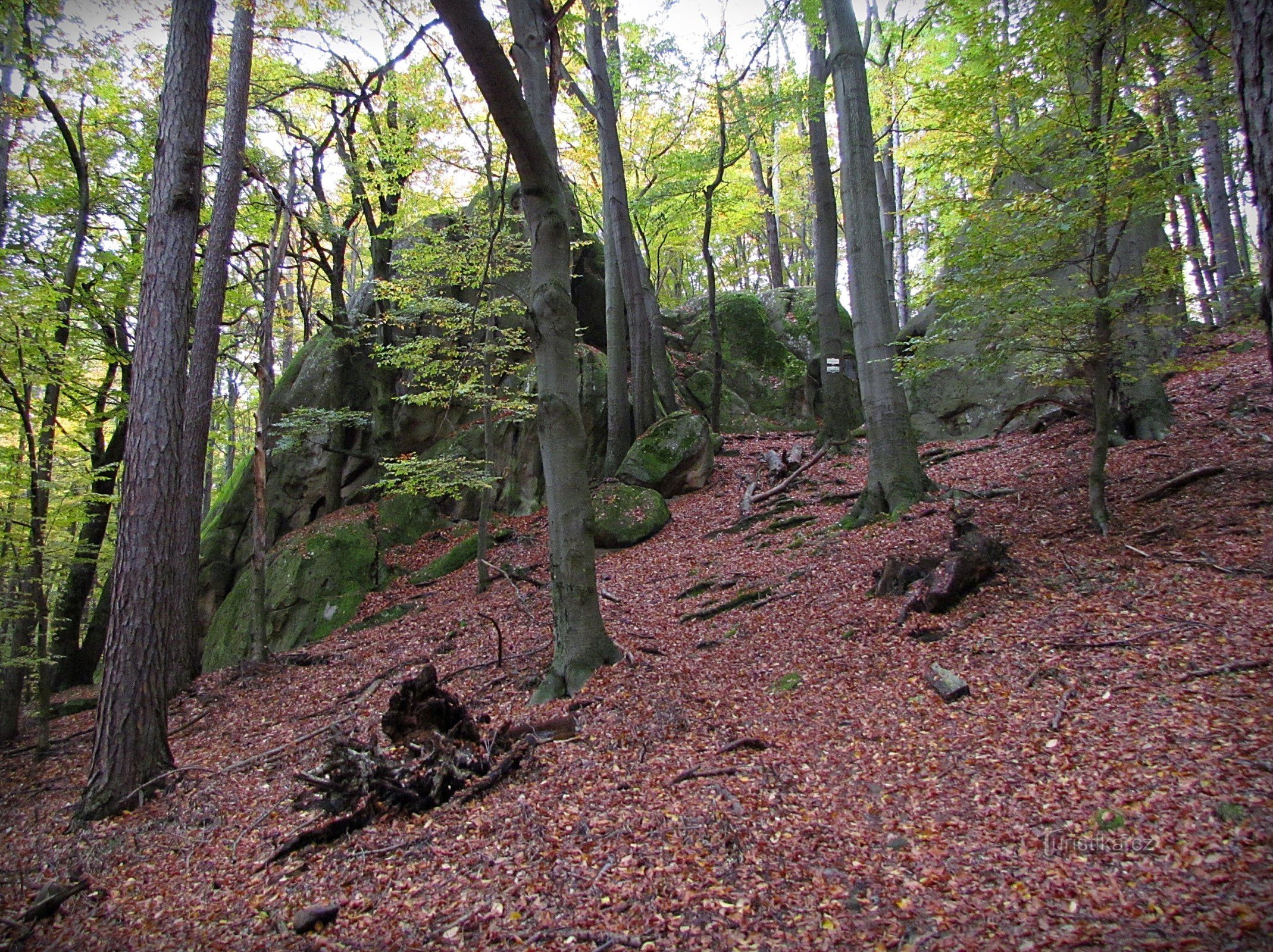 Chřiby – Budačina