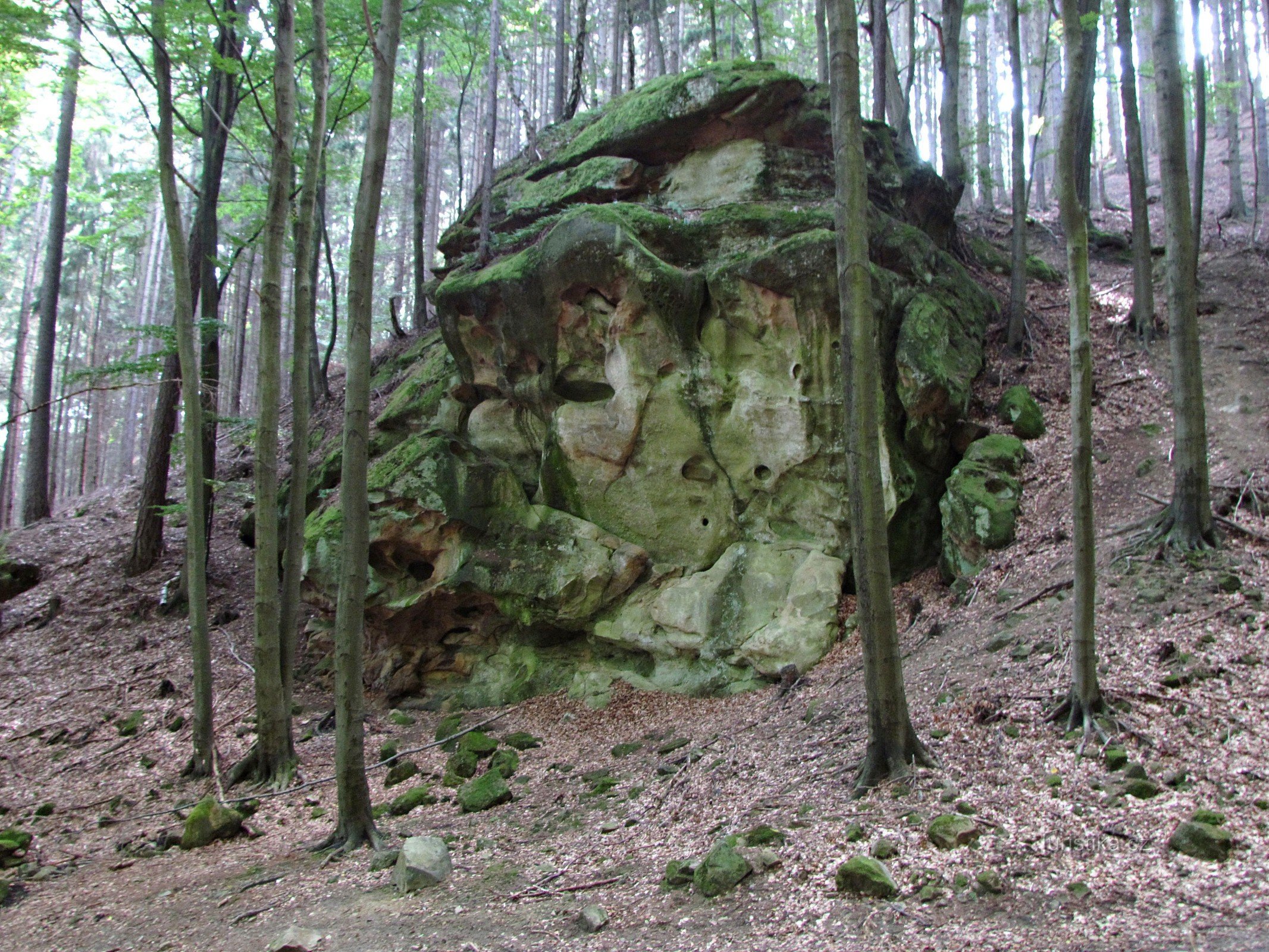 Chřiby - Rocher du diable