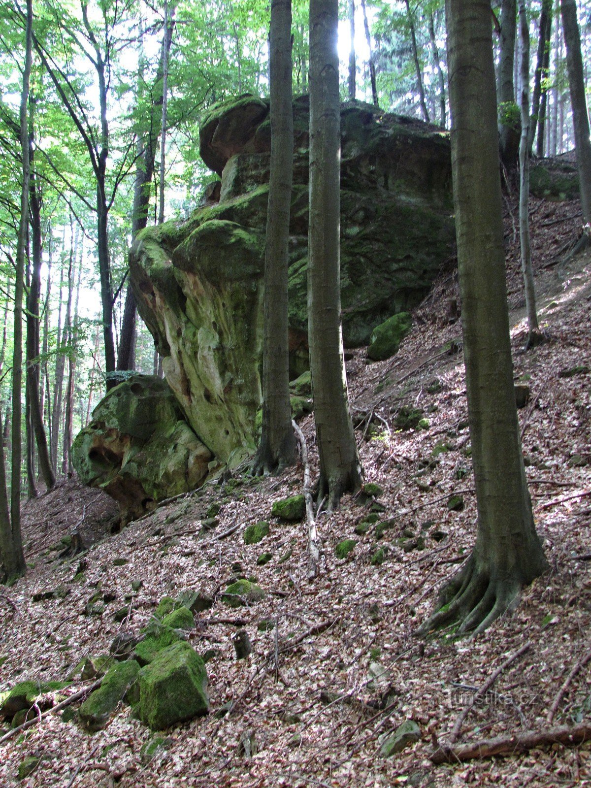 Chřiby - Stânca Diavolului