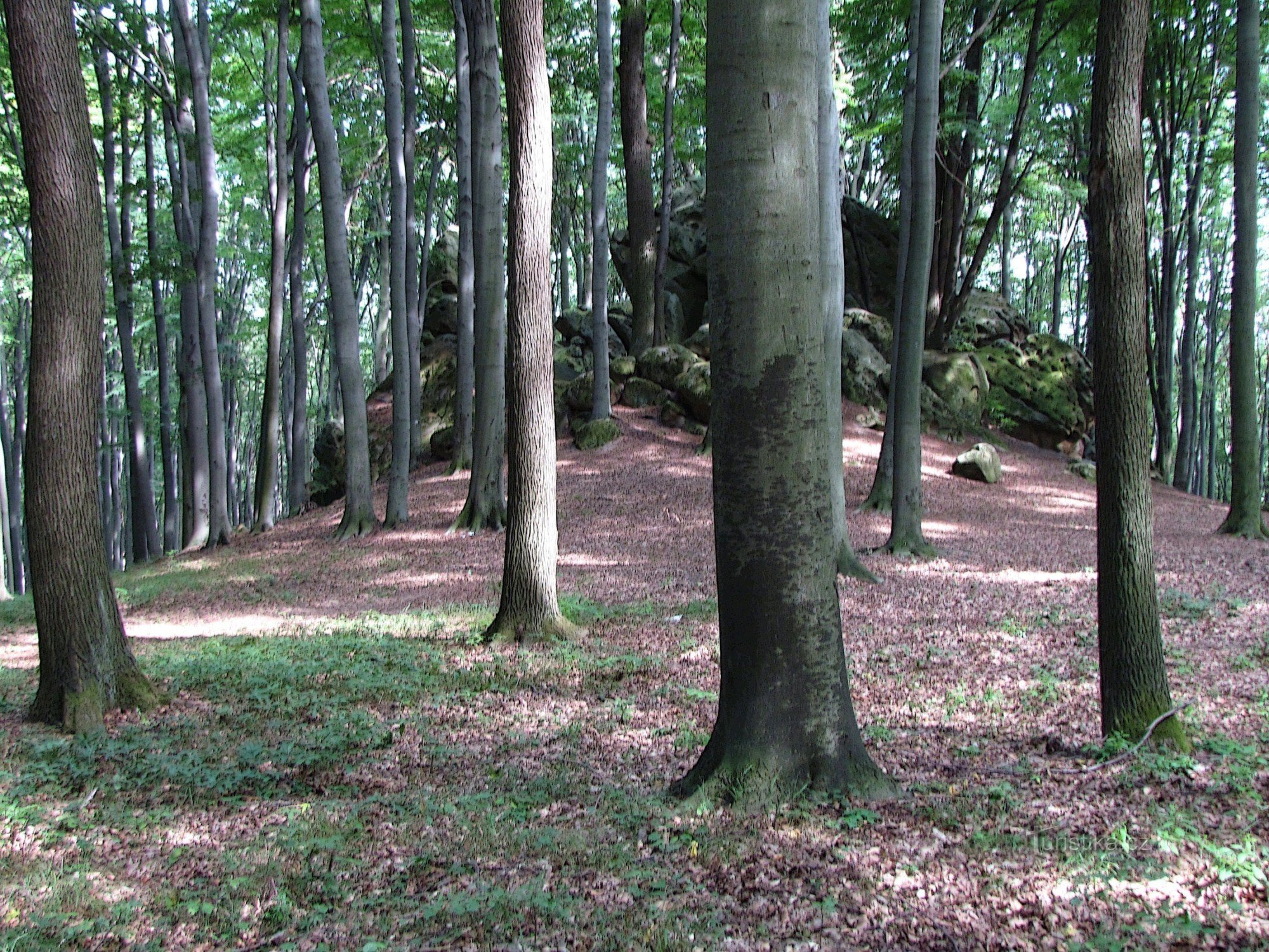 Chřiby - Teufelsfelsen bei Auschwitz