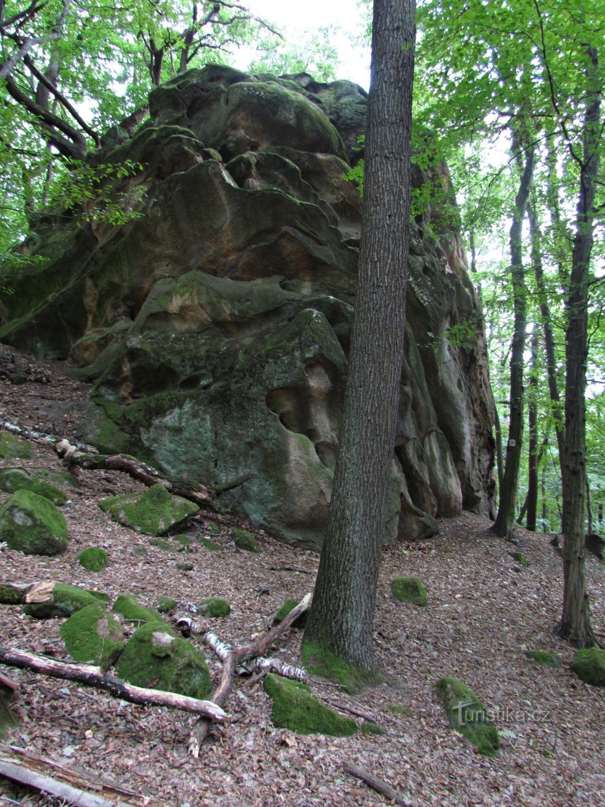 Chřiby - Karlova Skála